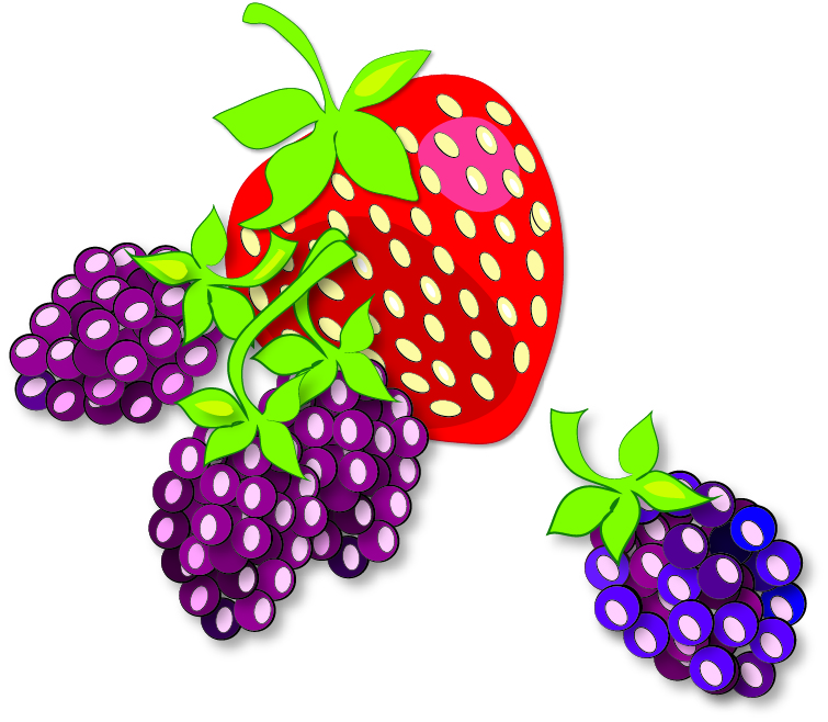 berry by Susan Fluegel